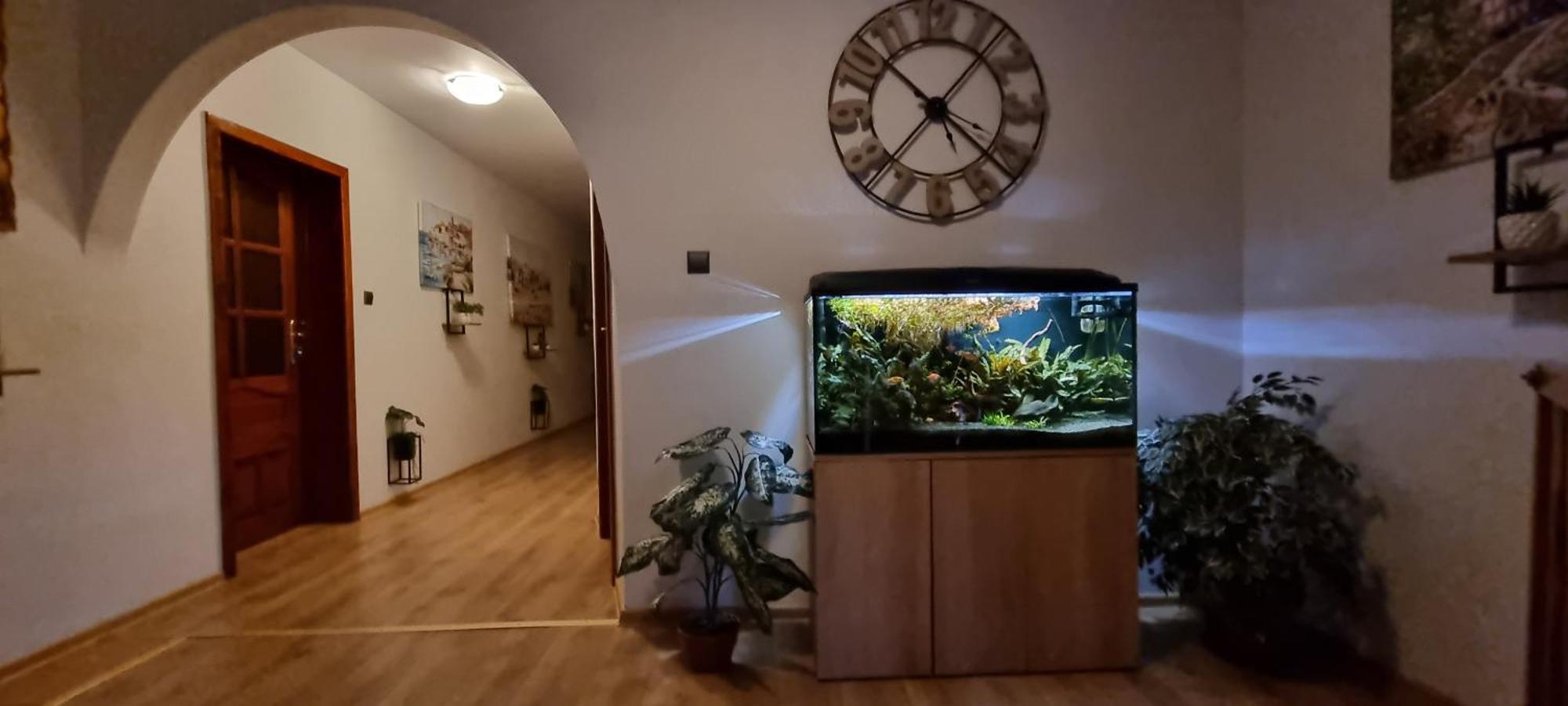 Noclegi Na Lacznej Świebodzice Kültér fotó